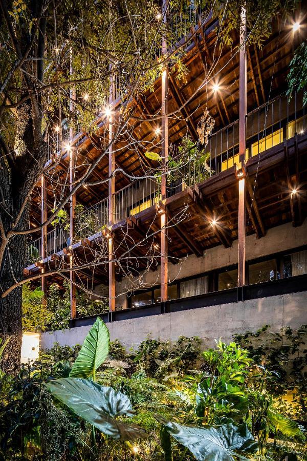 Ana Polanco Apartments Mexico City Luaran gambar